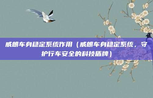 威朗车身稳定系统作用（威朗车身稳定系统，守护行车安全的科技盾牌）