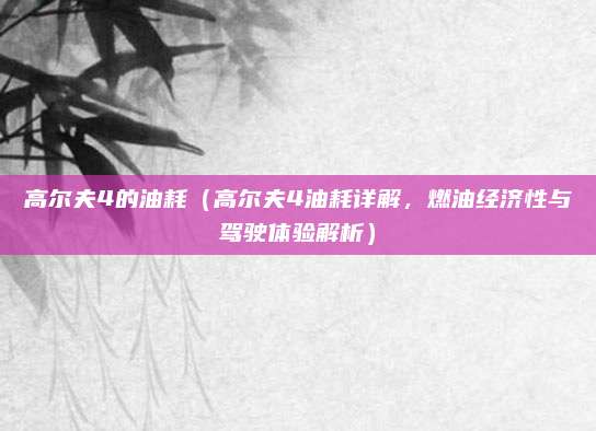 高尔夫4的油耗（高尔夫4油耗详解，燃油经济性与驾驶体验解析）