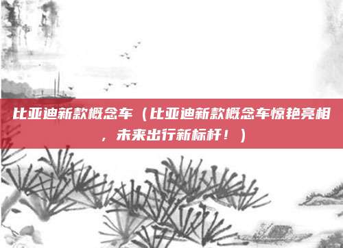 比亚迪新款概念车（比亚迪新款概念车惊艳亮相，未来出行新标杆！）