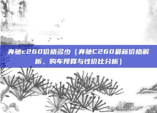 奔驰c260价格多少（奔驰C260最新价格解析，购车预算与性价比分析）