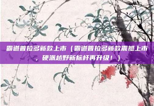 霸道普拉多新款上市（霸道普拉多新款震撼上市，硬派越野新标杆再升级！）