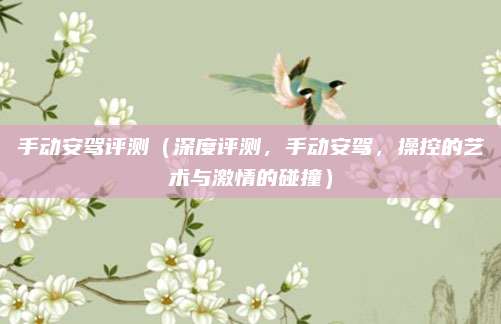 手动安驾评测（深度评测，手动安驾，操控的艺术与激情的碰撞）