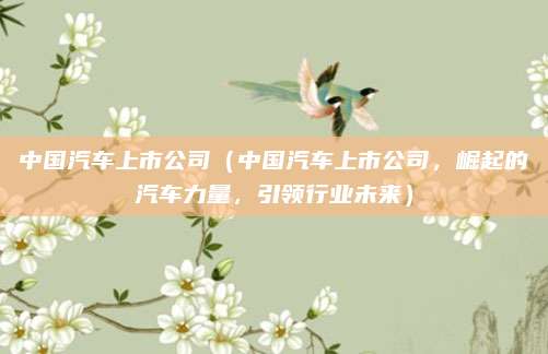 中国汽车上市公司（中国汽车上市公司，崛起的汽车力量，引领行业未来）