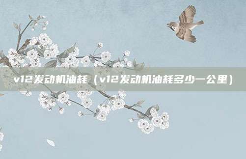 v12发动机油耗(v12发动机油耗多少一公里)