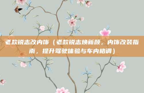 老款锐志改内饰（老款锐志焕新颜，内饰改装指南，提升驾驶体验与车内格调）