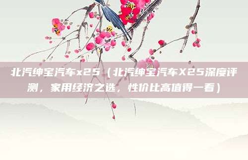北汽绅宝汽车x25（北汽绅宝汽车X25深度评测，家用经济之选，性价比高值得一看）