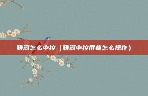 雅阁怎么中控(雅阁中控屏幕怎么操作)