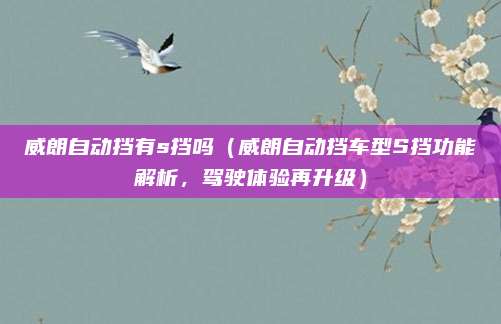 威朗自动挡有s挡吗（威朗自动挡车型S挡功能解析，驾驶体验再升级）