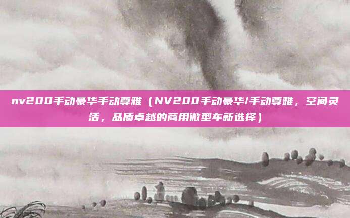 nv200手动豪华手动尊雅（NV200手动豪华/手动尊雅，空间灵活，品质卓越的商用微型车新选择）