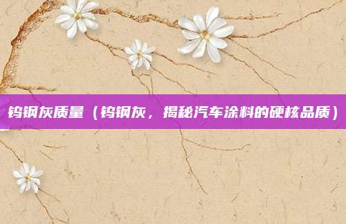 钨钢灰质量（钨钢灰，揭秘汽车涂料的硬核品质）