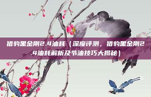 猎豹黑金刚2.4油耗（深度评测，猎豹黑金刚2.4油耗解析及节油技巧大揭秘）