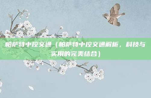 帕萨特中控交通（帕萨特中控交通解析，科技与实用的完美结合）