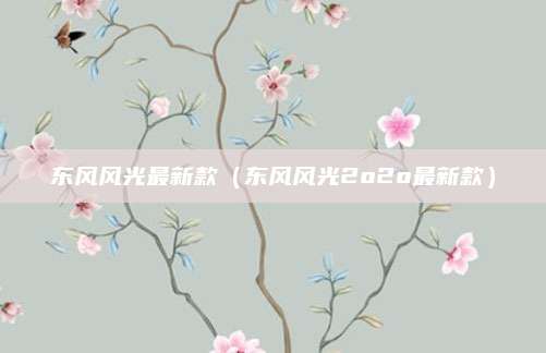 东风风光最新款(东风风光2o2o最新款)