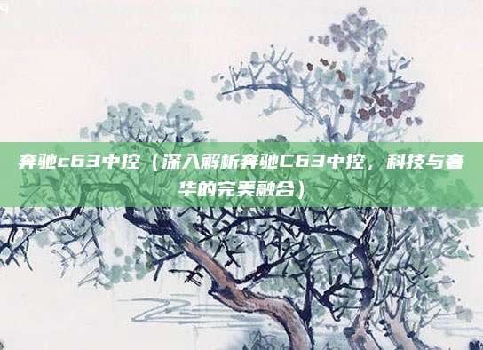 奔驰c63中控（深入解析奔驰C63中控，科技与奢华的完美融合）