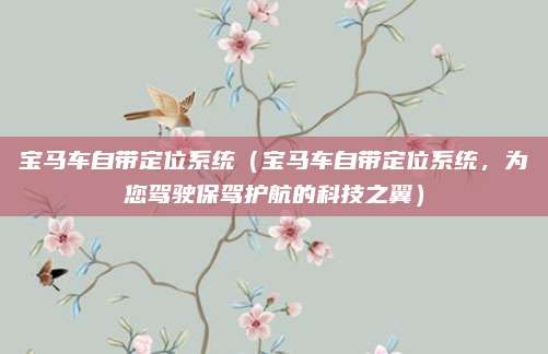 宝马车自带定位系统（宝马车自带定位系统，为您驾驶保驾护航的科技之翼）