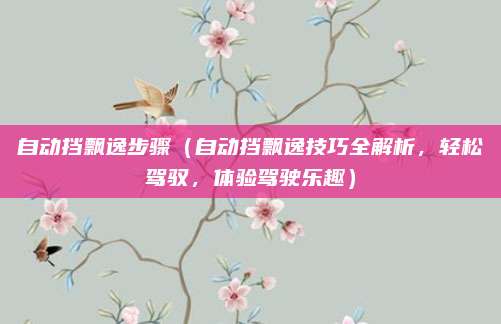 自动挡飘逸步骤（自动挡飘逸技巧全解析，轻松驾驭，体验驾驶乐趣）