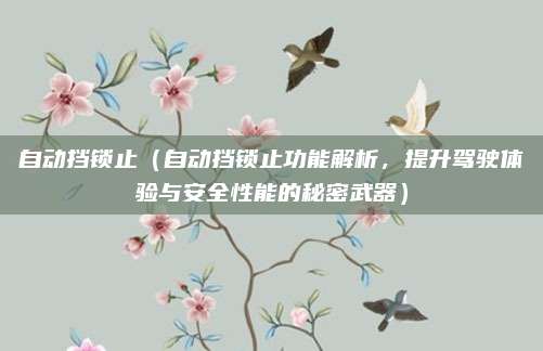 自动挡锁止(自动挡锁止功能解析,提升驾驶体验与安全性能的秘密武器)