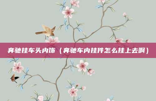 奔驰挂车头内饰(奔驰车内挂件怎么挂上去啊)