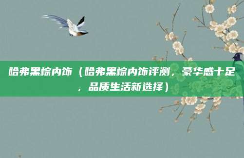 哈弗黑棕内饰(哈弗黑棕内饰评测,豪华感十足,品质生活新选择)