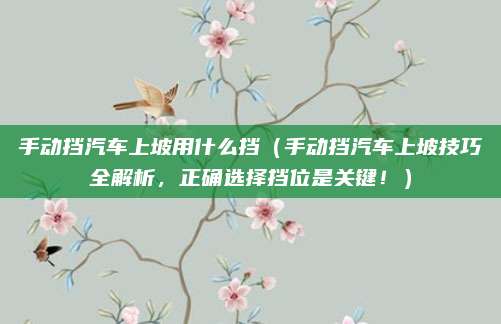 手动挡汽车上坡用什么挡（手动挡汽车上坡技巧全解析，正确选择挡位是关键！）