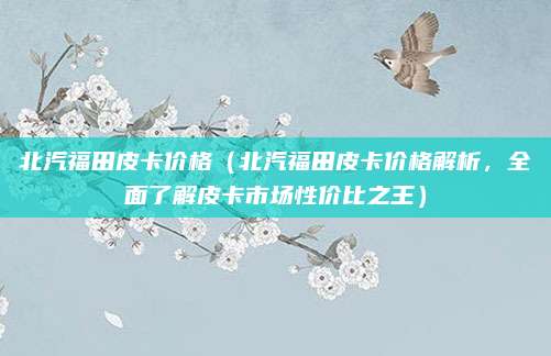 北汽福田皮卡价格（北汽福田皮卡价格解析，全面了解皮卡市场性价比之王）