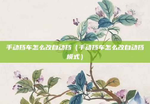 手动挡车怎么改自动挡(手动挡车怎么改自动挡模式)