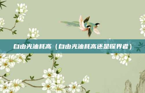 自由光油耗高(自由光油耗高还是探界者)