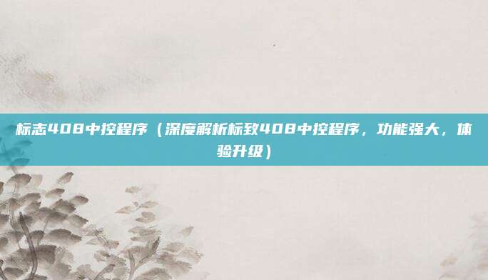 标志408中控程序（深度解析标致408中控程序，功能强大，体验升级）