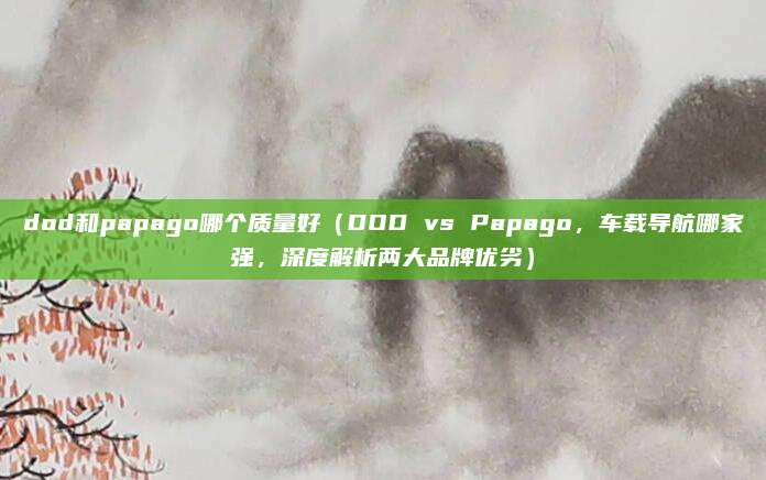 dod和papago哪个质量好（DOD vs Papago，车载导航哪家强，深度解析两大品牌优劣）