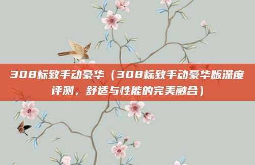 308标致手动豪华（308标致手动豪华版深度评测，舒适与性能的完美融合）