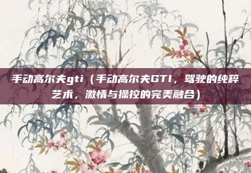 手动高尔夫gti（手动高尔夫GTI，驾驶的纯粹艺术，激情与操控的完美融合）