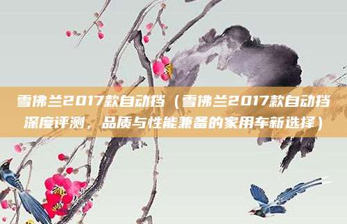 雪佛兰2017款自动挡（雪佛兰2017款自动挡深度评测，品质与性能兼备的家用车新选择）