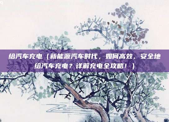 给汽车充电（新能源汽车时代，如何高效、安全地给汽车充电？详解充电全攻略！）