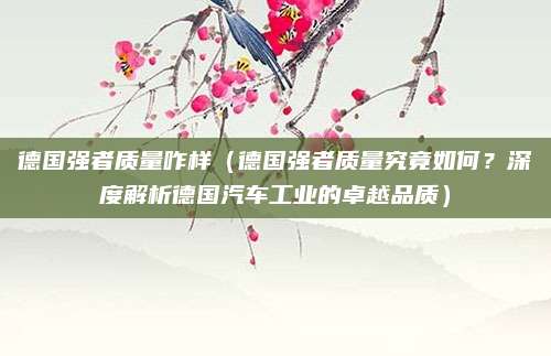 德国强者质量咋样（德国强者质量究竟如何？深度解析德国汽车工业的卓越品质）