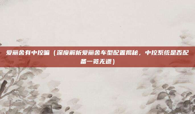 爱丽舍有中控嘛（深度解析爱丽舍车型配置揭秘，中控系统是否配备一览无遗）