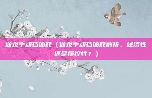 途观手动挡油耗（途观手动挡油耗解析，经济性还是操控性？）