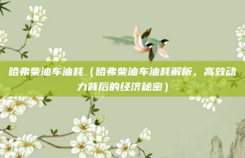 哈弗柴油车油耗（哈弗柴油车油耗解析，高效动力背后的经济秘密）