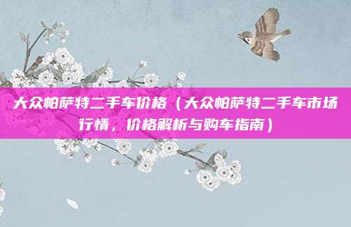 大众帕萨特二手车价格（大众帕萨特二手车市场行情，价格解析与购车指南）