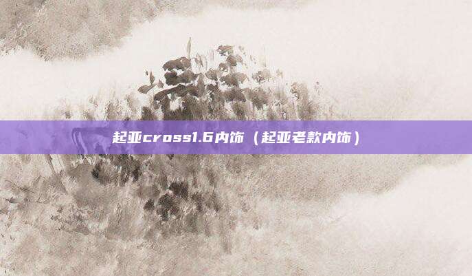 起亚cross1.6内饰(起亚老款内饰)