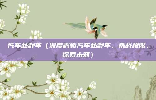 汽车越野车(深度解析汽车越野车,挑战极限,探索未知)