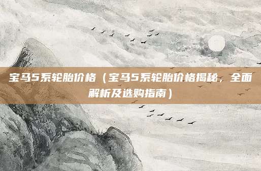 宝马5系轮胎价格(宝马5系轮胎价格揭秘,全面解析及选购指南)