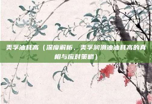美孚油耗高(深度解析,美孚润滑油油耗高的真相与应对策略)