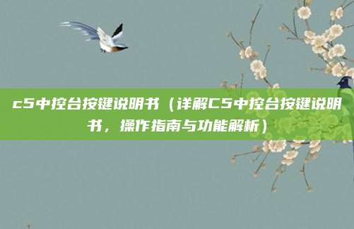 c5中控台按键说明书（详解C5中控台按键说明书，操作指南与功能解析）
