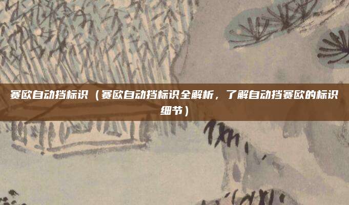赛欧自动挡标识(赛欧自动挡标识全解析,了解自动挡赛欧的标识细节)
