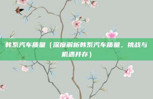 韩系汽车质量（深度解析韩系汽车质量，挑战与机遇并存）