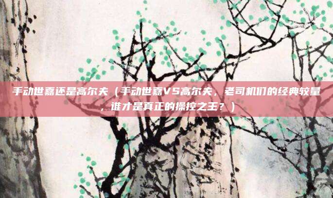 手动世嘉还是高尔夫(手动世嘉VS高尔夫,老司机们的经典较量,谁才是真正的操控之王?)
