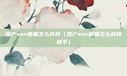 国产suv质量怎么样样(国产suv质量怎么样样知乎)