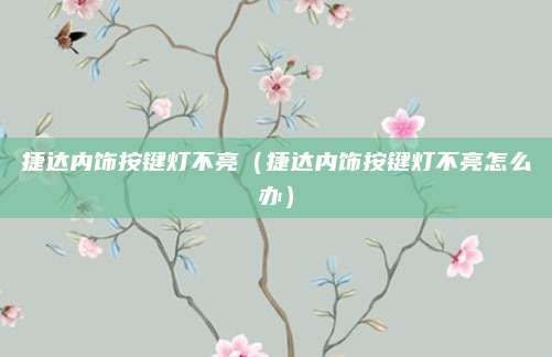 捷达内饰按键灯不亮(捷达内饰按键灯不亮怎么办)