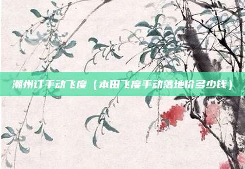 潮州订手动飞度(本田飞度手动落地价多少钱)