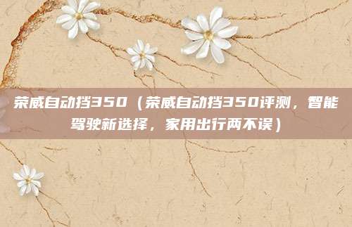 荣威自动挡350（荣威自动挡350评测，智能驾驶新选择，家用出行两不误）